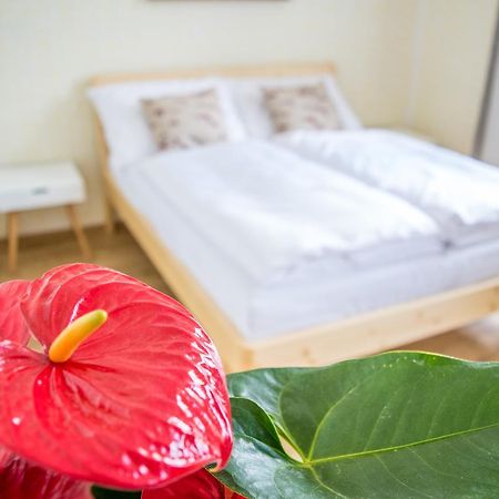 Hotel U Cmelaku à Červená Voda Extérieur photo